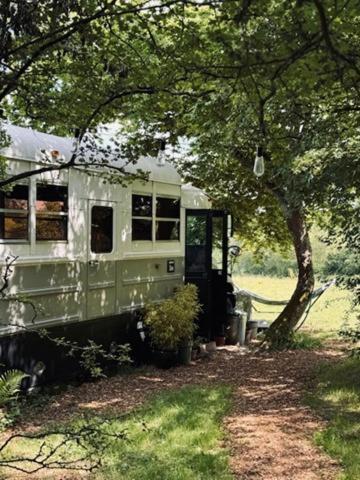 American School Bus Retreat With Hot Tub In Sussex Meadow Uckfield Bagian luar foto